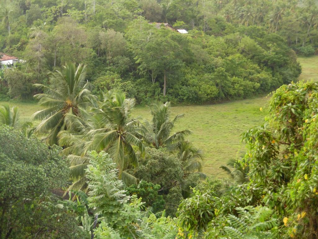 Mount View Villa Resort Mirissa Exterior photo
